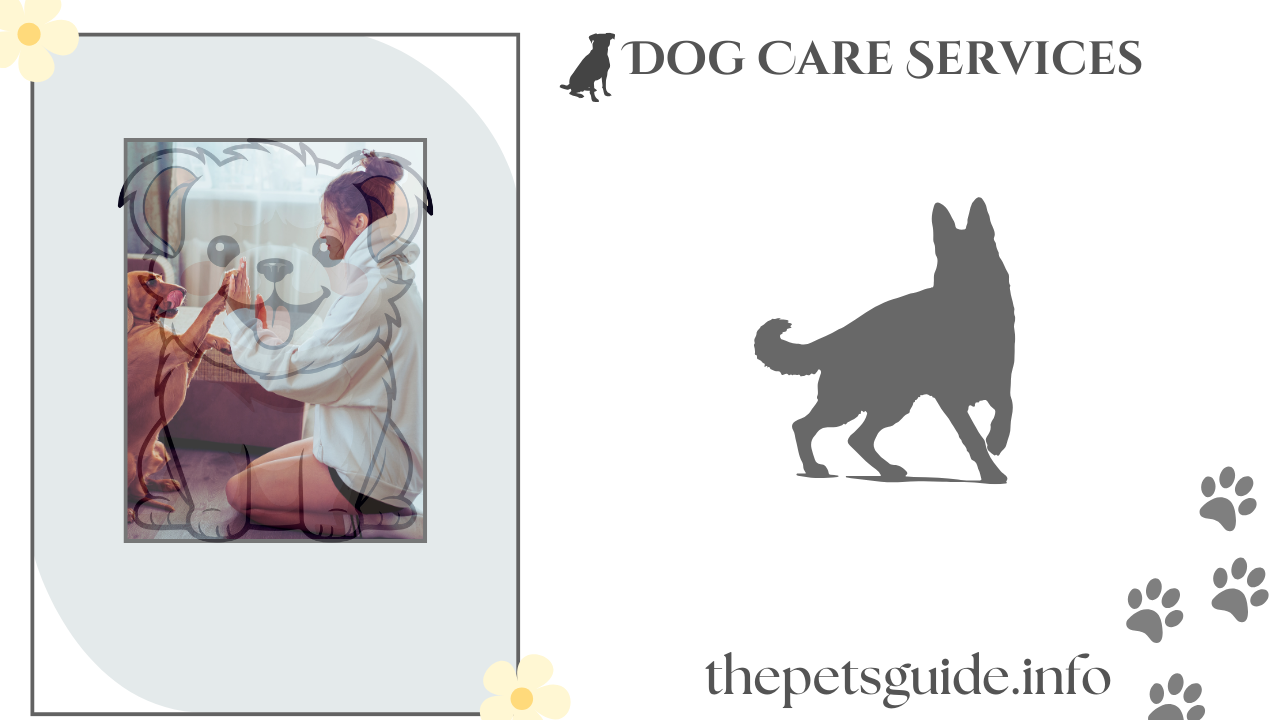 Dog Care Services 11 Best type