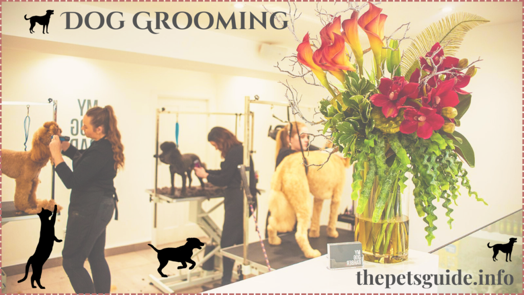 Dog Grooming