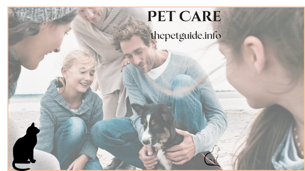 pet care