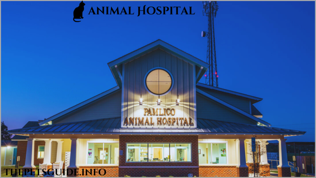 animal Hospital