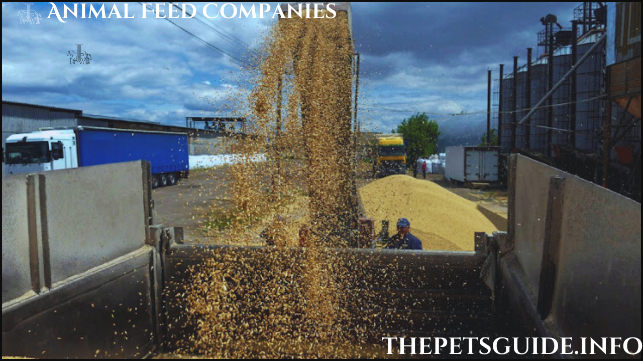 Animal Feed Companies