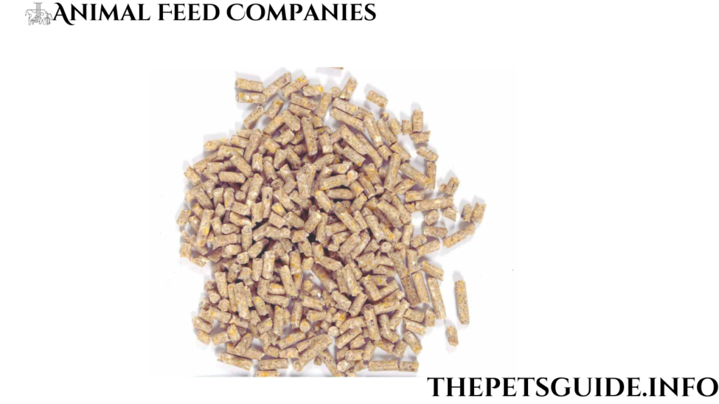 Animal Feed Companies 