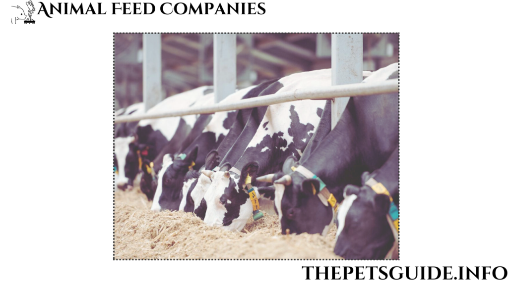 Animal Feed Companies 