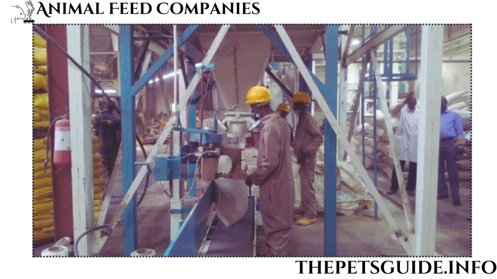 Animal Feed Companies 