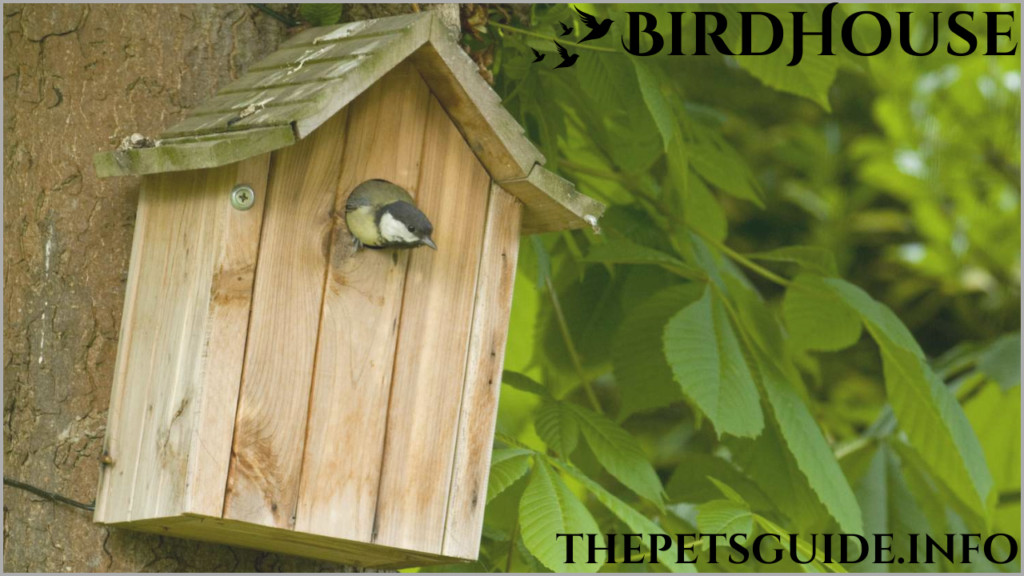 BirdHouse