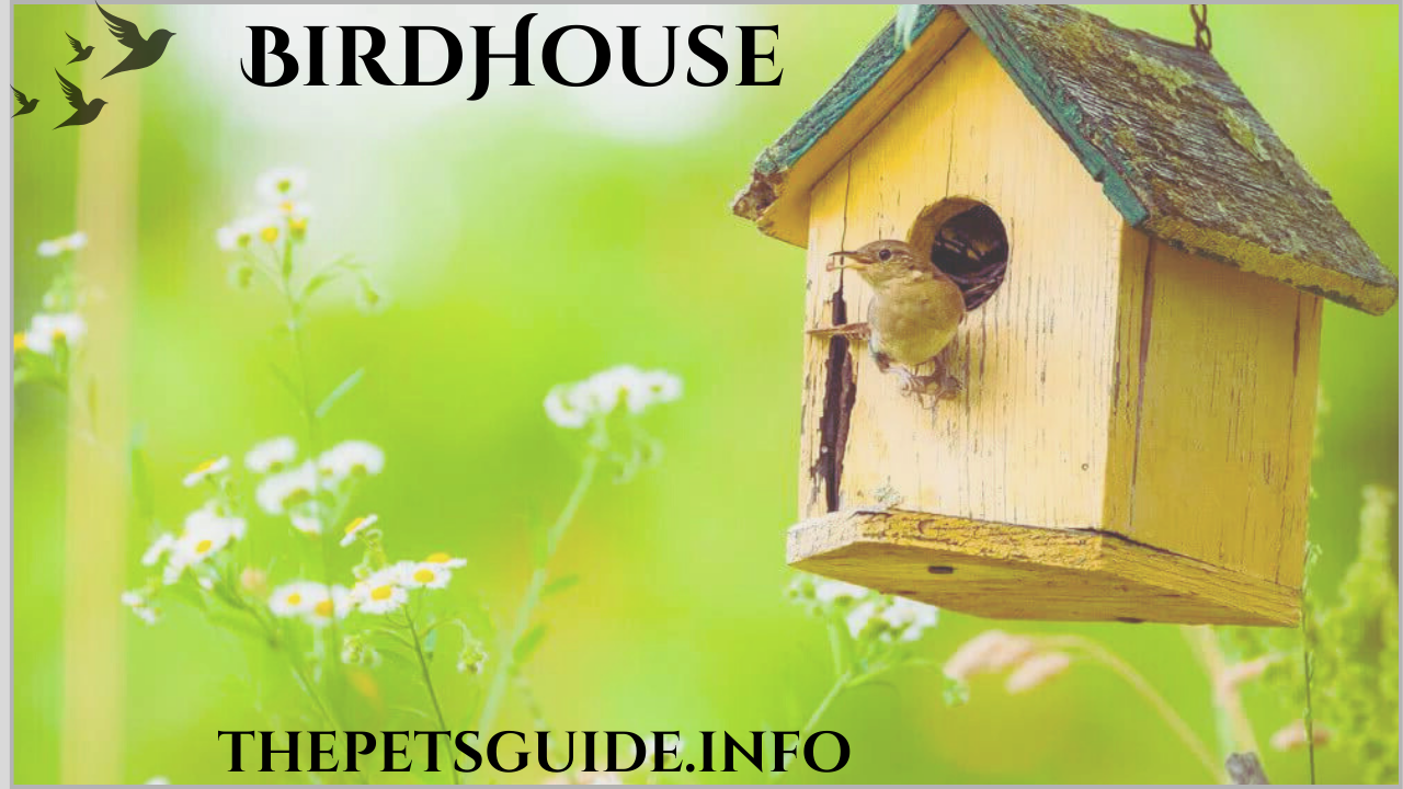 birdhouse