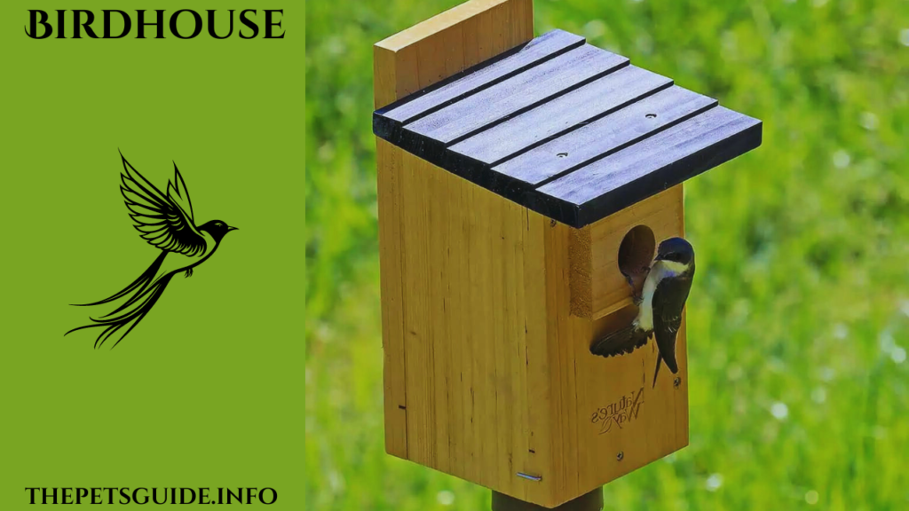 Birdhouse