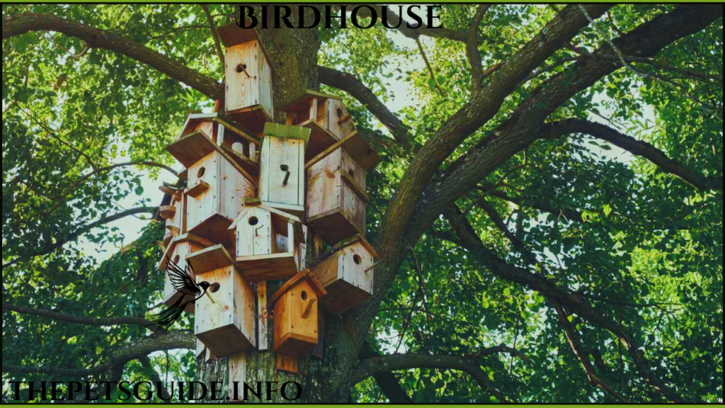 Birdhouse