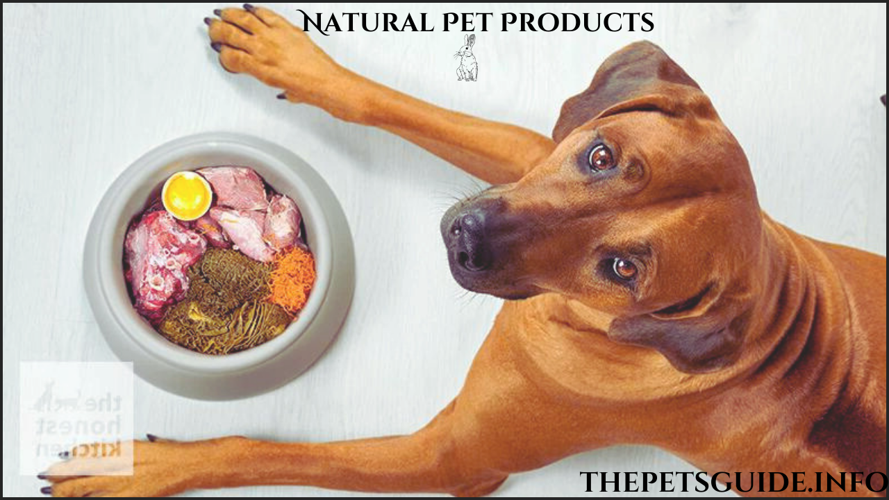 12 Best Selling Natural Pet Products in USA