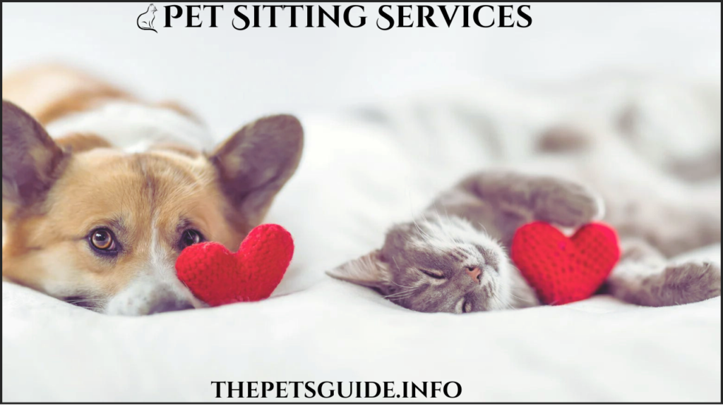 Pet Sitting Services