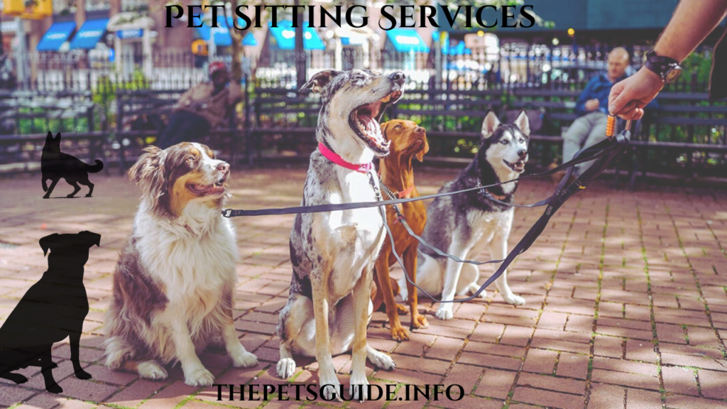 Pet Sitting Services