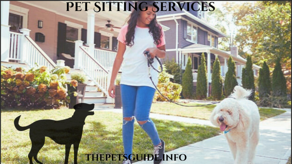 Pet Sitting Services