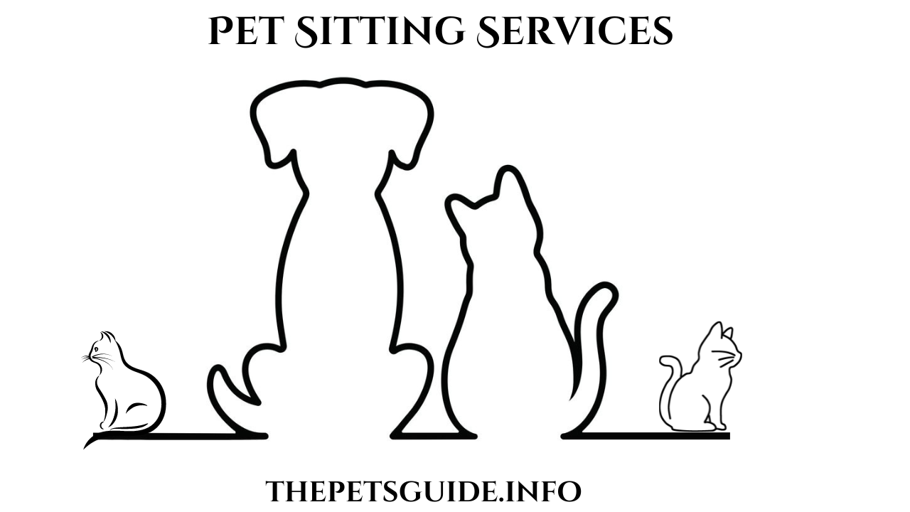 3 Best Type of Pet Sitting Services In USA