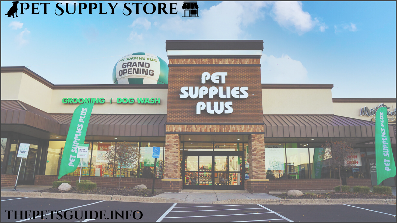 Top 10 Best Online Pet Supply Store and Companies In USA