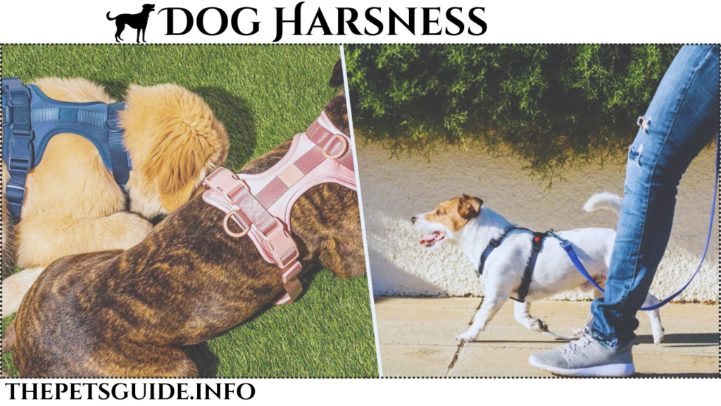 Dog Harness