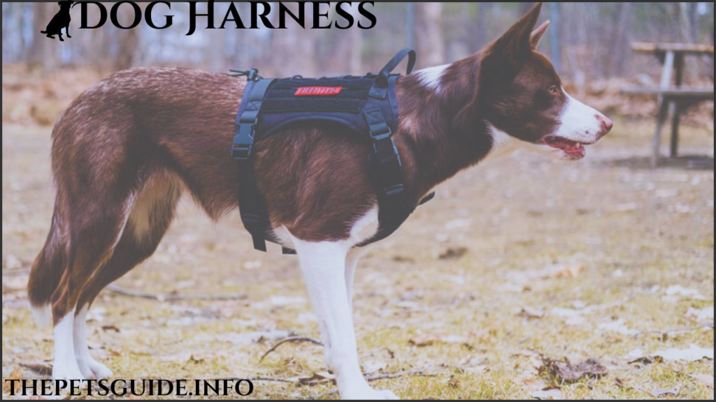 Dog Harness