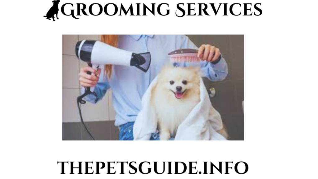 Grooming Services