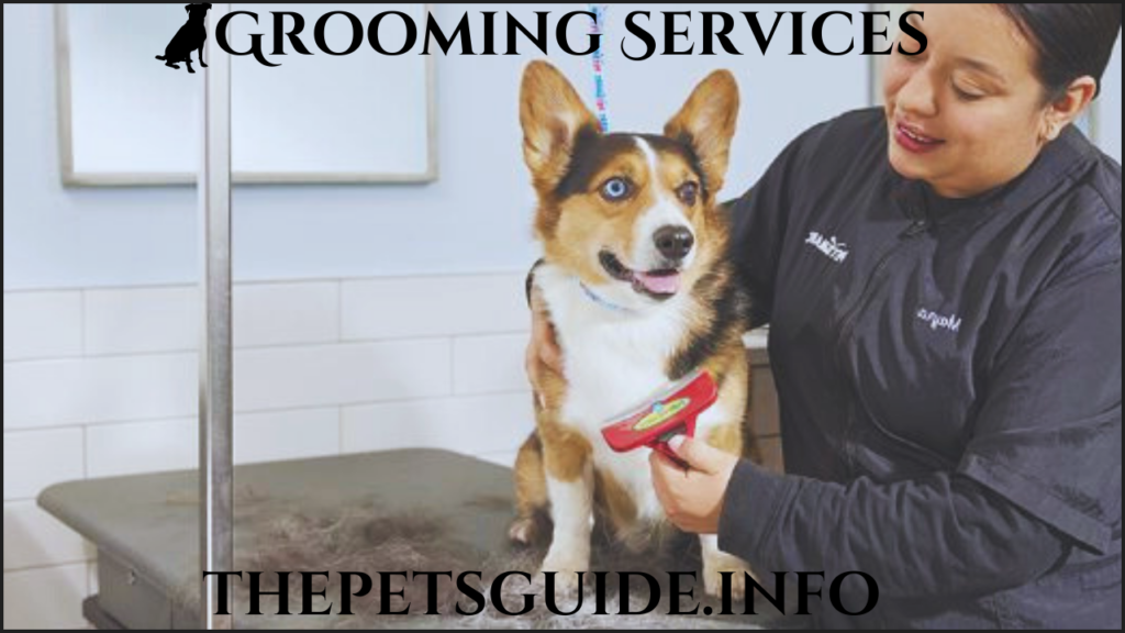 Grooming Services