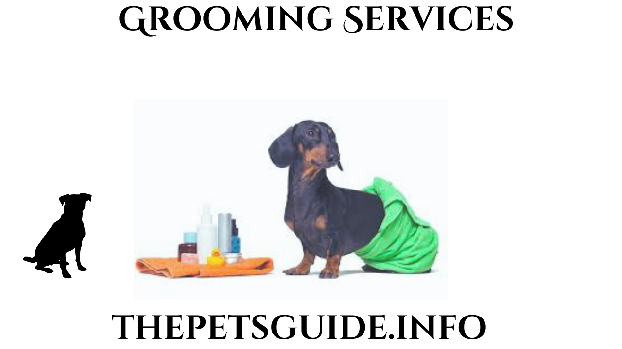 Grooming Services